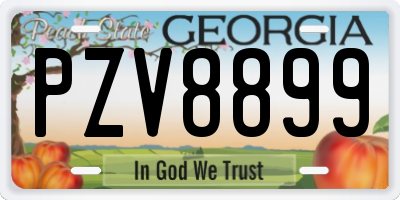 GA license plate PZV8899