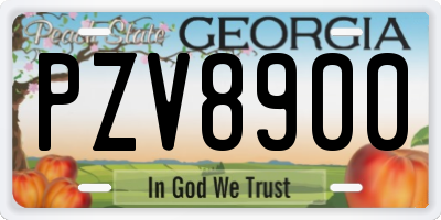 GA license plate PZV8900