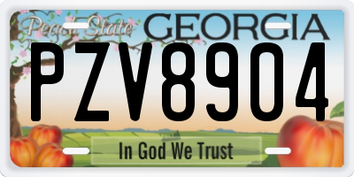 GA license plate PZV8904
