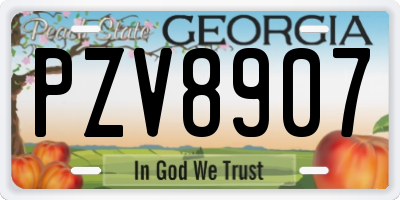 GA license plate PZV8907