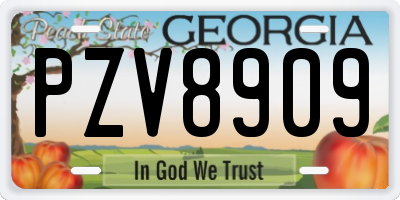 GA license plate PZV8909