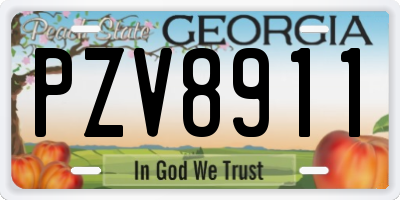 GA license plate PZV8911