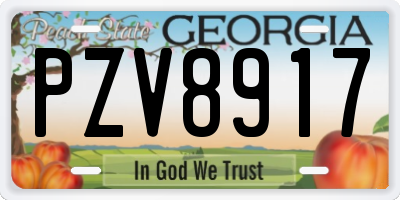 GA license plate PZV8917