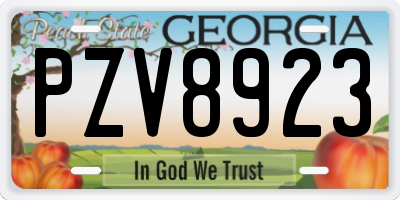 GA license plate PZV8923