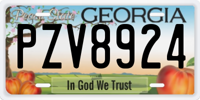 GA license plate PZV8924