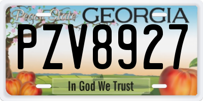 GA license plate PZV8927