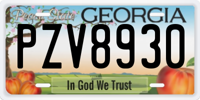 GA license plate PZV8930