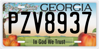 GA license plate PZV8937