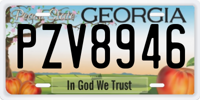 GA license plate PZV8946