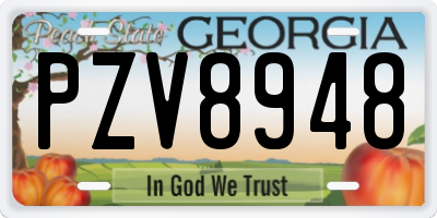 GA license plate PZV8948