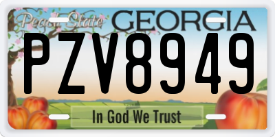 GA license plate PZV8949