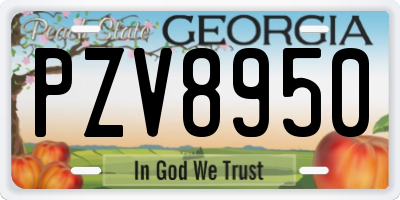 GA license plate PZV8950