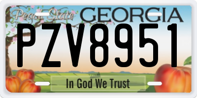 GA license plate PZV8951
