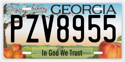 GA license plate PZV8955