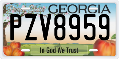 GA license plate PZV8959