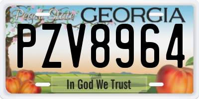GA license plate PZV8964