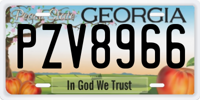GA license plate PZV8966