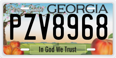 GA license plate PZV8968