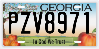 GA license plate PZV8971
