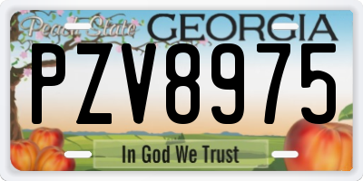 GA license plate PZV8975