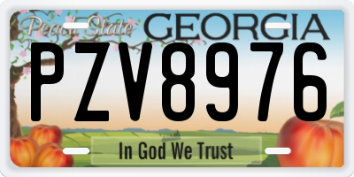 GA license plate PZV8976