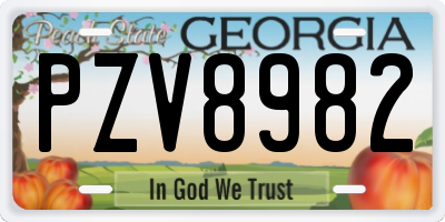 GA license plate PZV8982