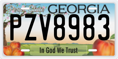 GA license plate PZV8983