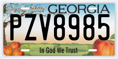 GA license plate PZV8985