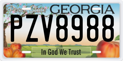 GA license plate PZV8988