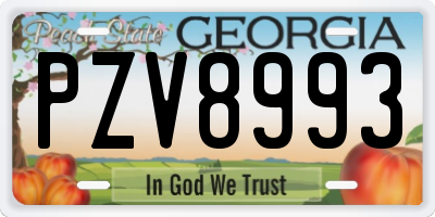 GA license plate PZV8993