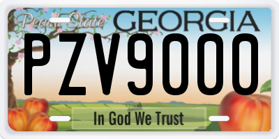 GA license plate PZV9000