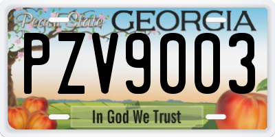 GA license plate PZV9003