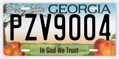 GA license plate PZV9004