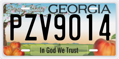 GA license plate PZV9014