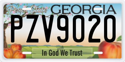 GA license plate PZV9020