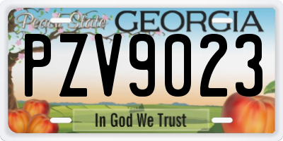 GA license plate PZV9023