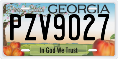 GA license plate PZV9027