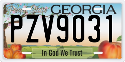 GA license plate PZV9031