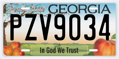GA license plate PZV9034
