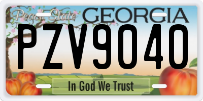 GA license plate PZV9040
