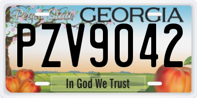 GA license plate PZV9042