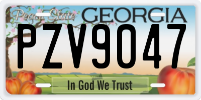 GA license plate PZV9047
