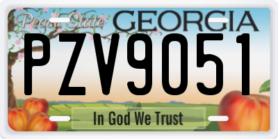 GA license plate PZV9051