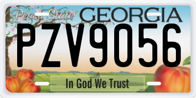 GA license plate PZV9056