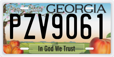 GA license plate PZV9061