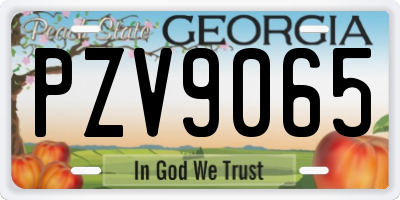 GA license plate PZV9065