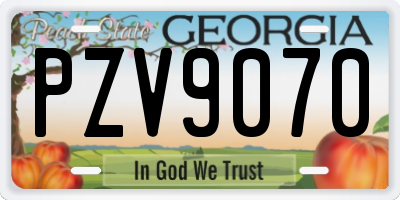 GA license plate PZV9070