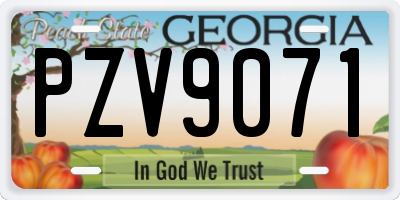 GA license plate PZV9071