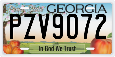 GA license plate PZV9072