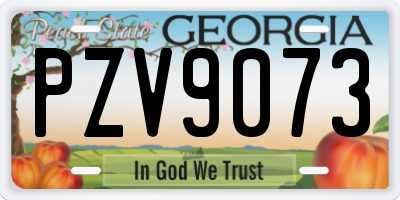 GA license plate PZV9073